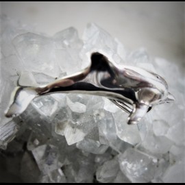 Dolphin pendant (small)
