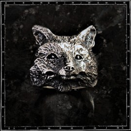 Johnny the Fox
