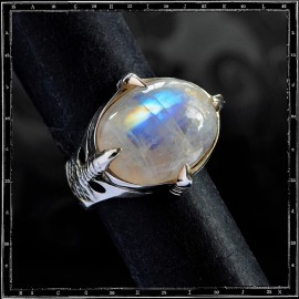 Four Claws Ring