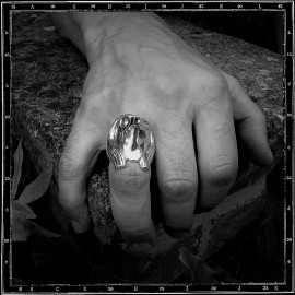Horus Head Ring