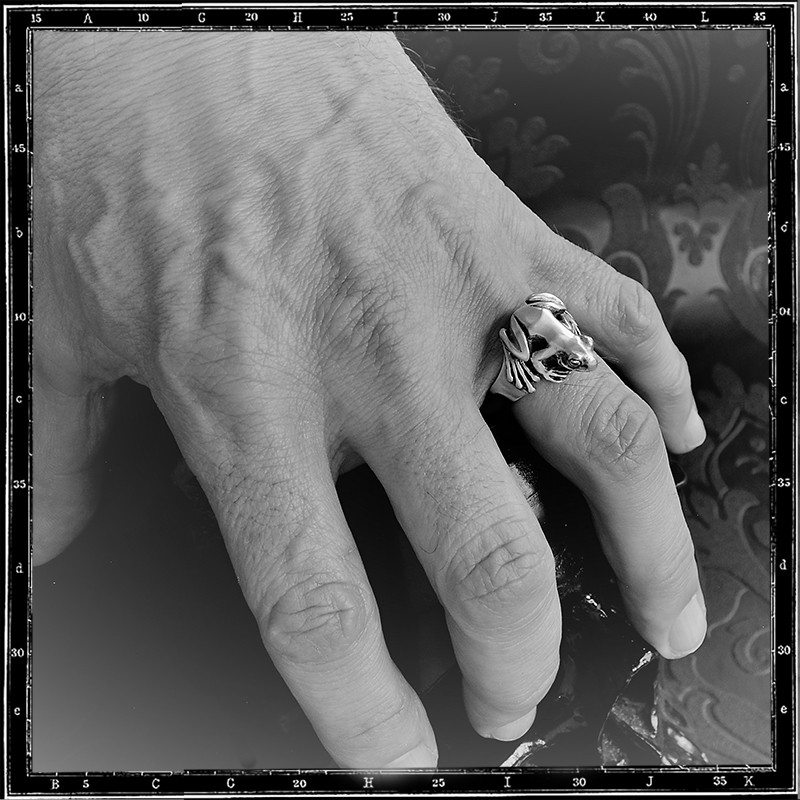 Frog Ring (small)