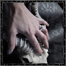 Arrows Ring (6 mm)
