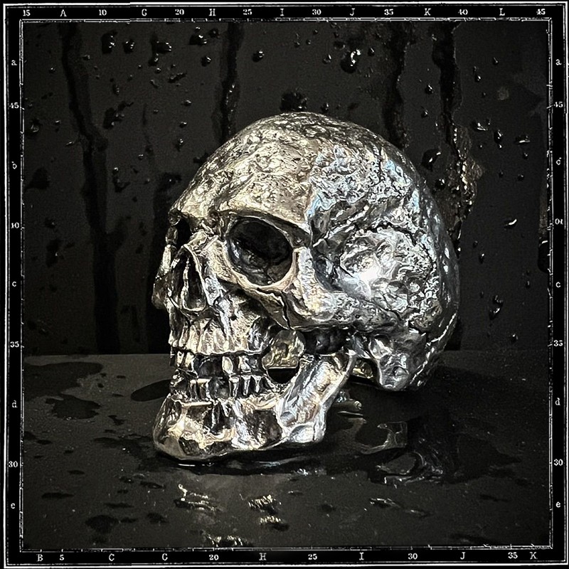 Lost Skull ring