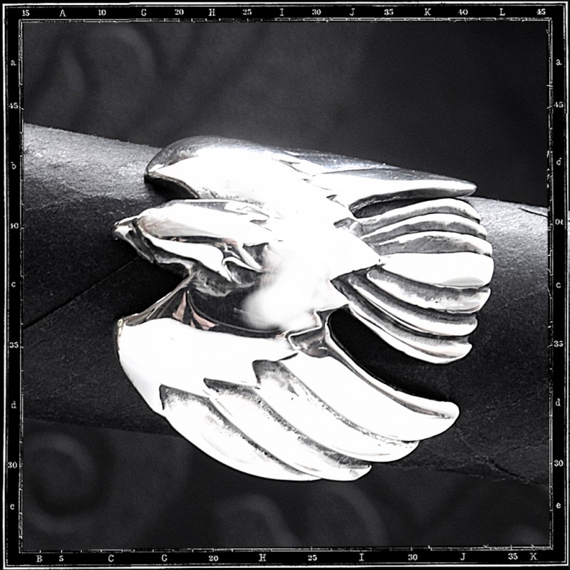 Flight bird ring