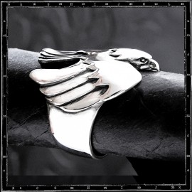 Flight bird ring