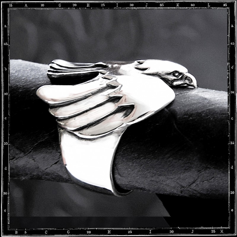Flight bird ring