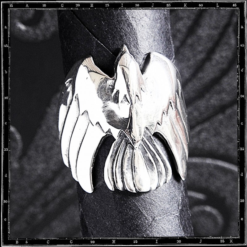 Flight bird ring
