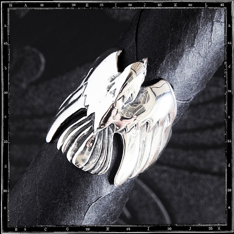 Flight bird ring