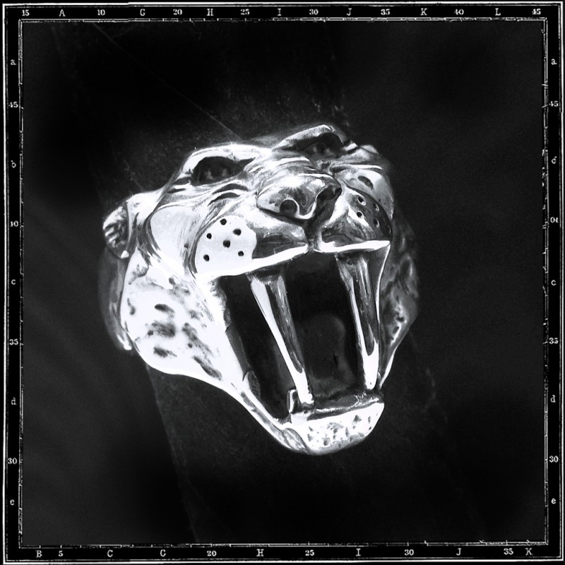 Saber tooth tiger ring Saber tooth tiger ring