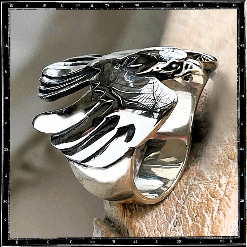 Flight bird ring