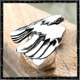 Flight bird ring