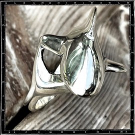 Flight bird ring