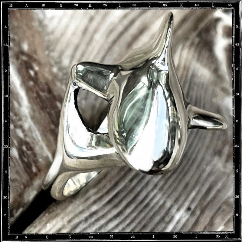 Flight bird ring