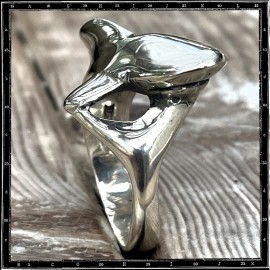 Flight bird ring