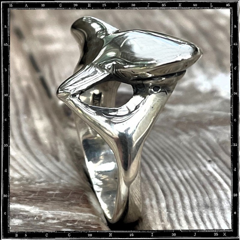 Flight bird ring