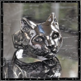 Cat Ring Cat Ring