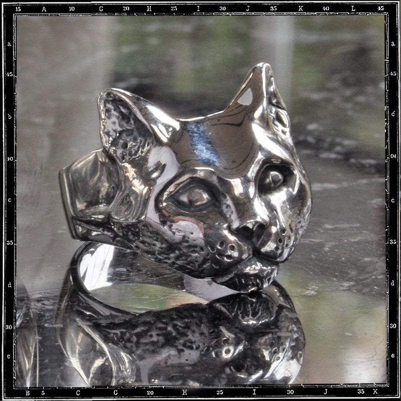 Cat Ring Cat Ring